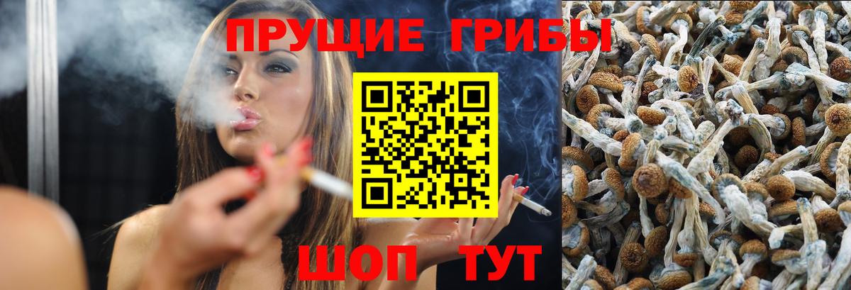 Тобольск  Галлюциногенные грибы GOLDEN TEACHER  Вход с VPN 